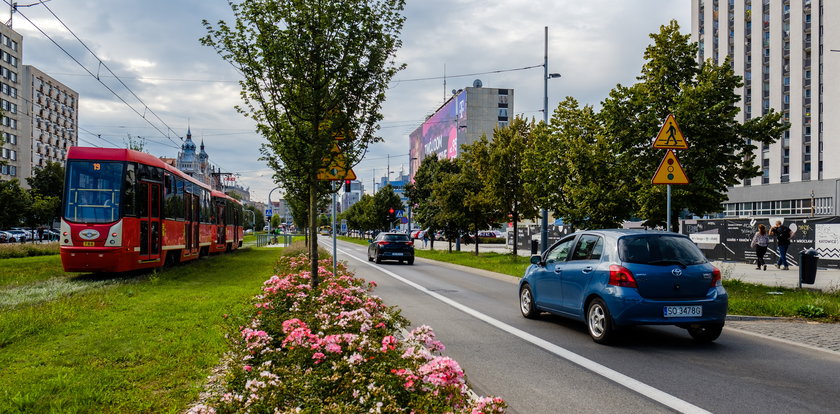 Trwa walka z katowicką betonozą: Będą kolejne zielone przystanki 