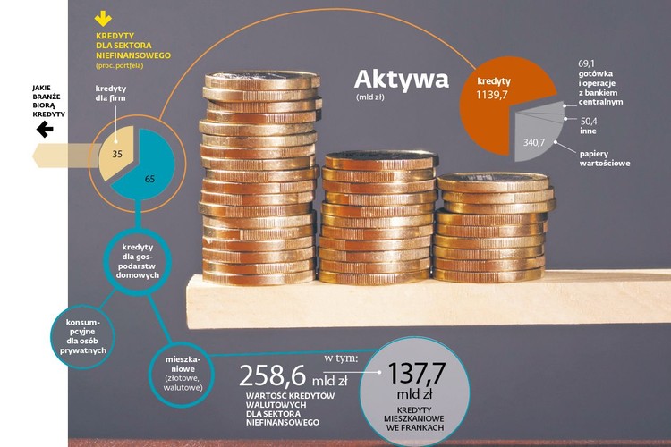 Najważniejszym składnikiem aktywów banków są kredyty. Daleko za nimi są papiery wartościowe – przede wszystkim obligacje skarbowe. Ostatnio rządowe obligacje nabrały znaczenia, ponieważ wprowadzony właśnie tzw. podatek bankowy nie obejmuje tej kategorii aktywów. Około 50 mld zł jest wart majątek banków, który bezpośrednio nie pracuje, np. aktywa trwałe.