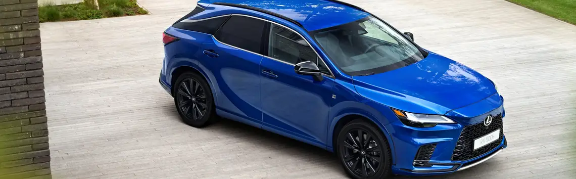 LEXUS RX RX 300t AL20 Business Edition