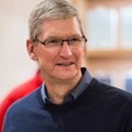 Czego możemy spodziewać się po wynikach finansowych Apple?