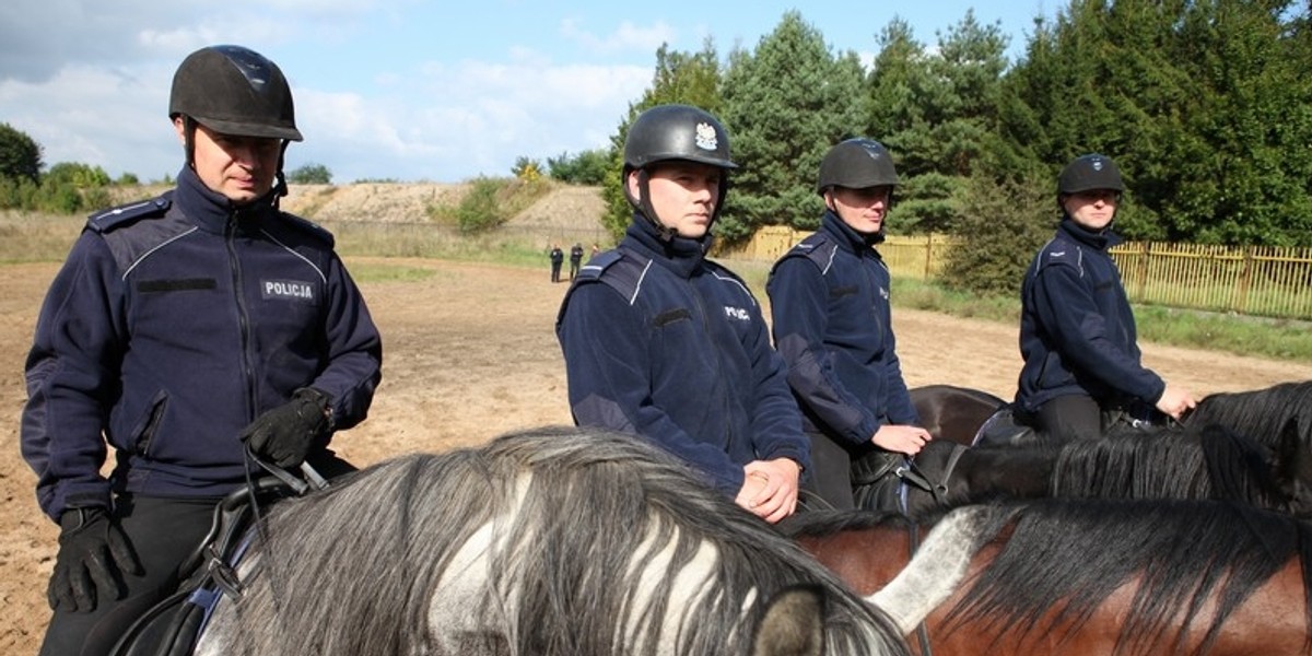 Policja konna