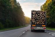 Wzrost cen drewna zwiększył jego eksport z Polski