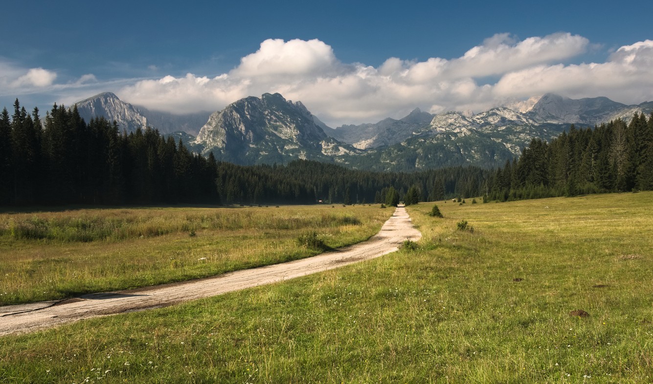 Na turistiku do hôr sa treba náležite vybaviť. (ilustračné foto)