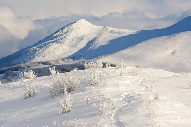 Bieszczady zimą