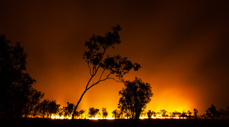 Bozóttűz a Kakadu Nemzeti Parkban, Ausztrália Északi területén / Fotó: Getty Images