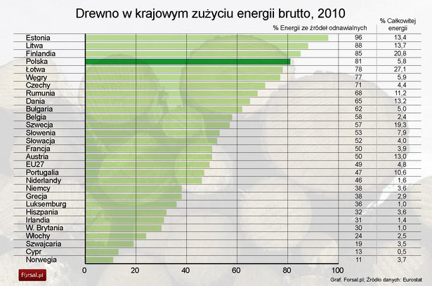 Drewno w krajowym zużyciu energii brutto w 2010 roku