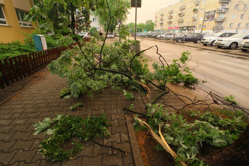 Odbiorą gałęzie złamane przez nawałnicę