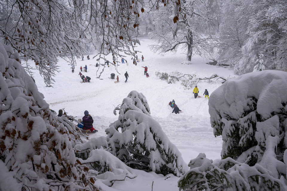 Intensywne opady śniegu sprzyjają miłośnikom saneczkarstwa (Bawaria, Niemcy)