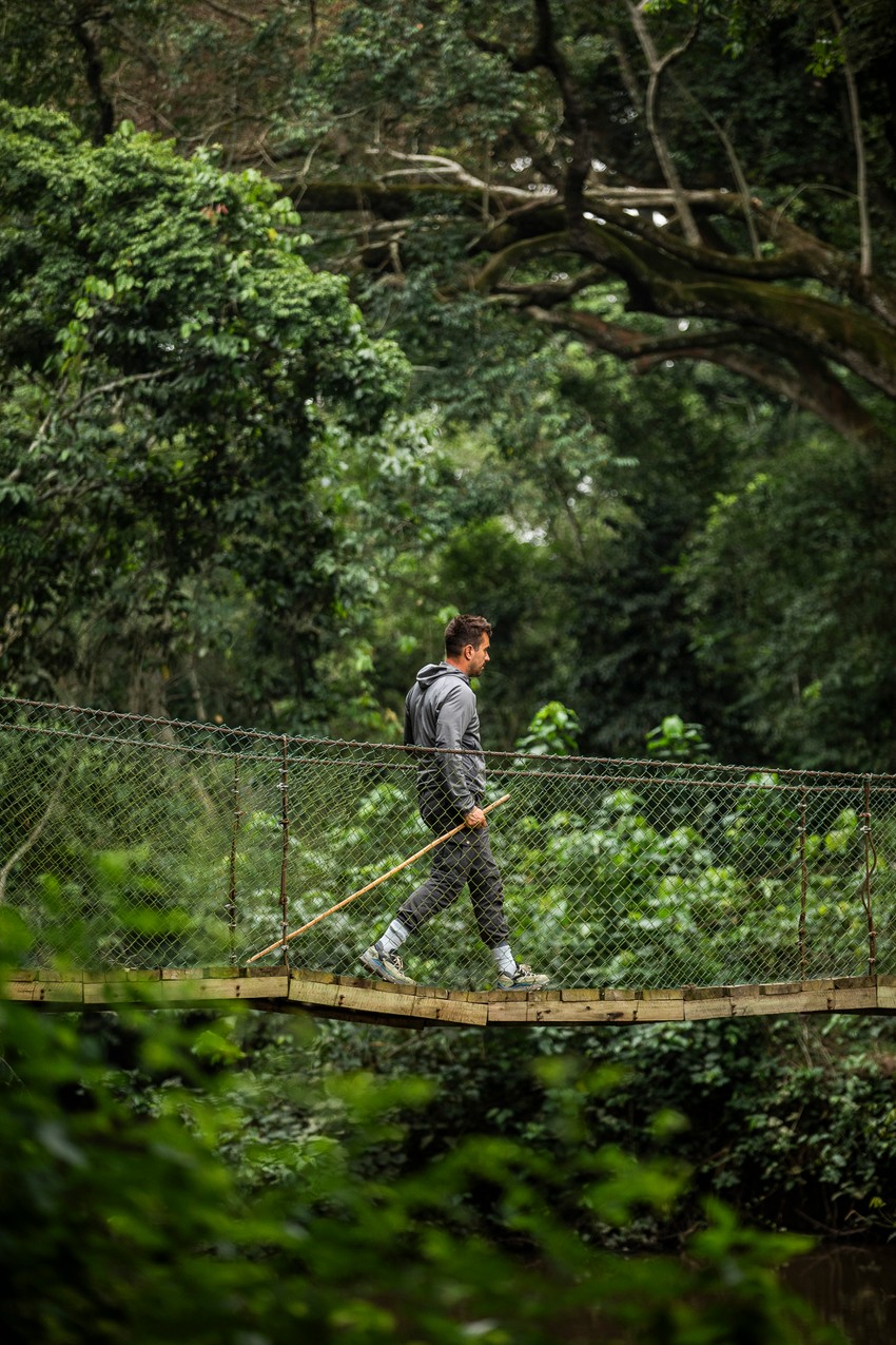 Treking po prašumama