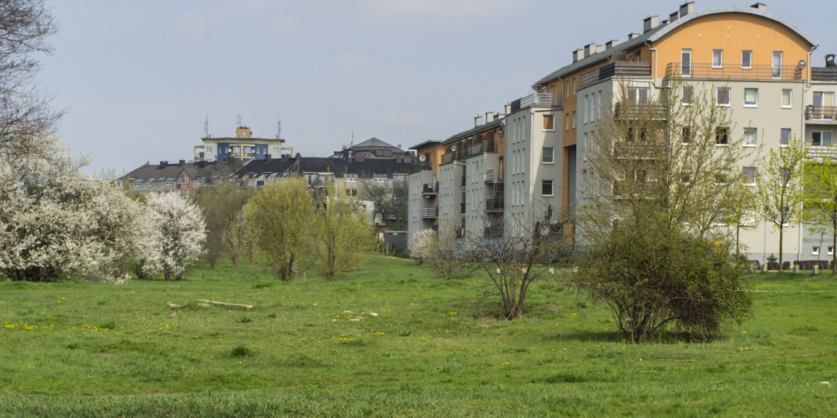 Mieszkańcy Naramowic chcą mieć swoje targowisko