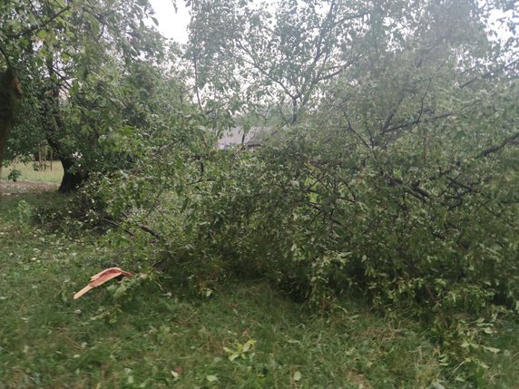 Nawałnica spustoszyła Osiedle Podwawelskie