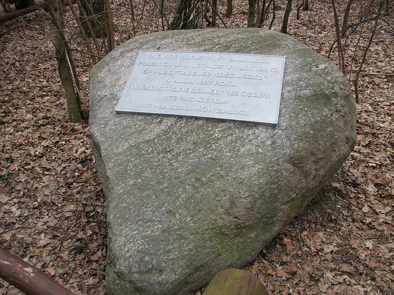 Pomnik upamiętniający ofiary katastrofy w Lesie Kabackim - domena publiczna
