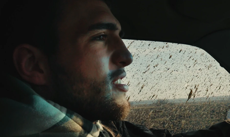 Ceca Show, život Ražnatovića u Titelu