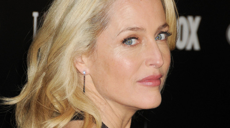 Gillian Anderson arca gyanúsan fiatalos / Fotó: Northfoto