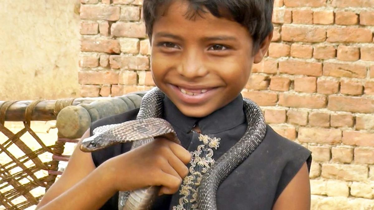 Заклинатель змей рассказ. Заклинатель змей. Indian boy the Village boys. Индийский факир обманщик. Фото индийского факира обманщика.