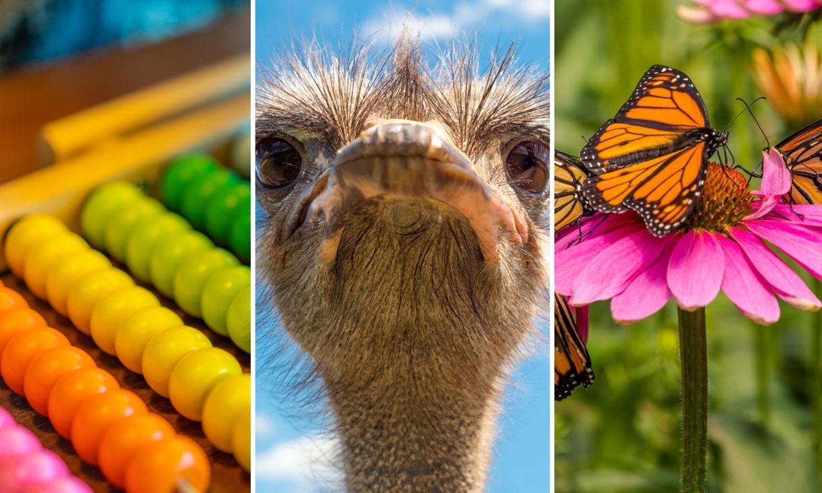 15 trudnych pytań z wiedzy ogólnej. Tylko geniusz odpowie bez potknięcia