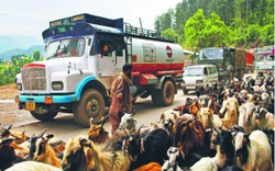 Rynki wschodzące tracą impet. Nadchodzą państwa Next 11