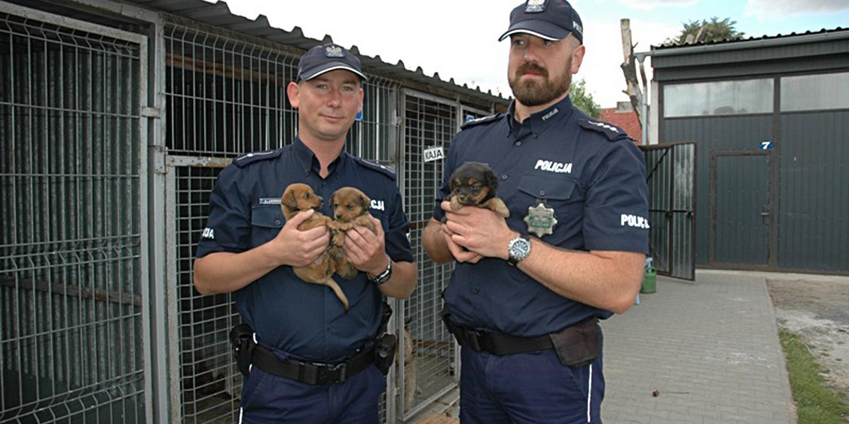 Policjanci pospieszyli na ratunek bezbronnym szczeniaczkom