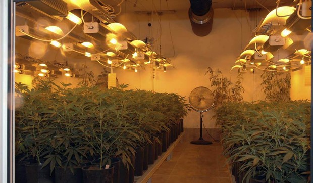 246125_skank-laboratorija01-foto-mup-srbije