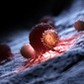 Illustration of white blood cells attacking a cancer cell