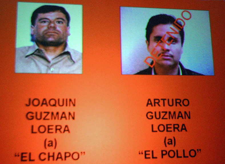 Zdjęcia wyświetlane podczas konferencji prasowej 7 września 2001 r. w Mexico City przedstawiają Arturo "El Pollo" Guzmana i jego brata Joaquina "El Chapo" Guzmana