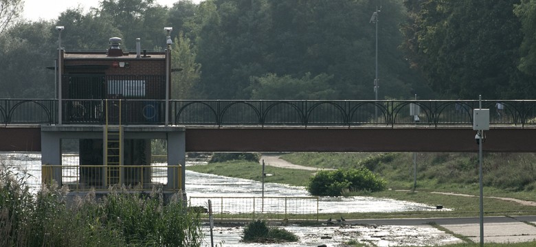 Lasy zniszczone przez powódź. "Odradzamy wstęp ze względów bezpieczeństwa"
