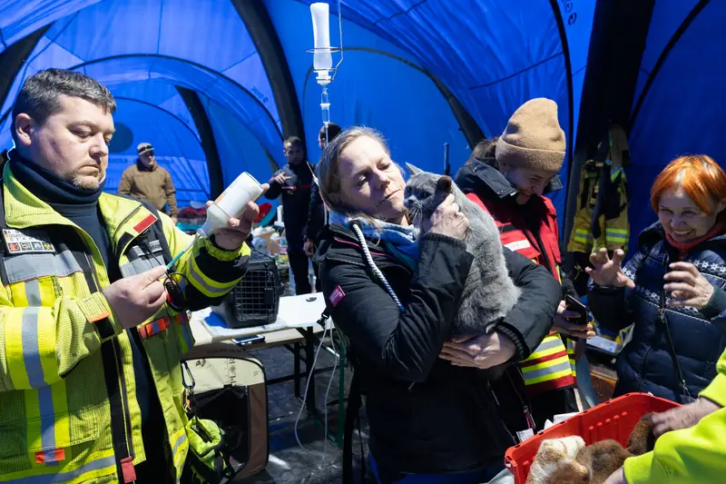 Weterynarze z niemieckiej organizacji Tierschutzbund niosą pomoc zwierzętom z Ukrainy na przejściu granicznym w Medyce