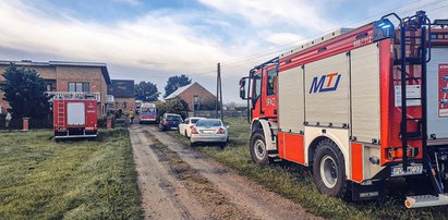 Tragedia w Wielkopolsce. Stado byków stratowało rolnika