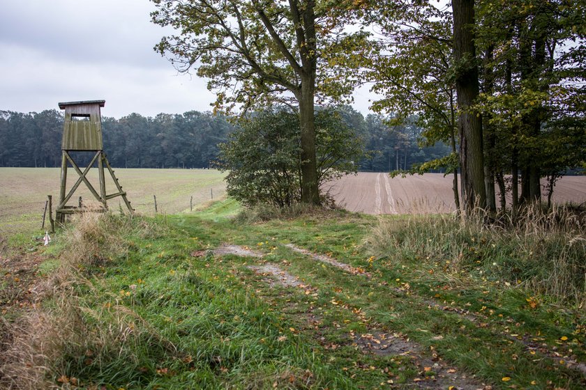 Zabójstwo Zyty Michalskiej. Wstrząsające zeznania sióstr mordercy