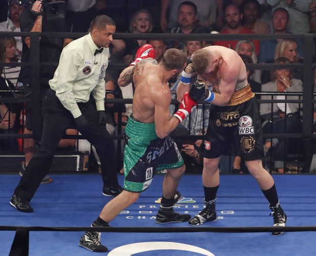 Andrzej Fonfara znokautowany już w I rundzie. Polak o mało nie wyleciał z ringu