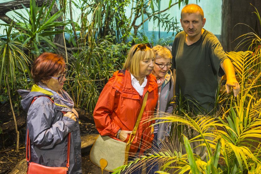 Tańsze bilety dla seniorów w poznańskim zoo