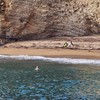 Budva danas