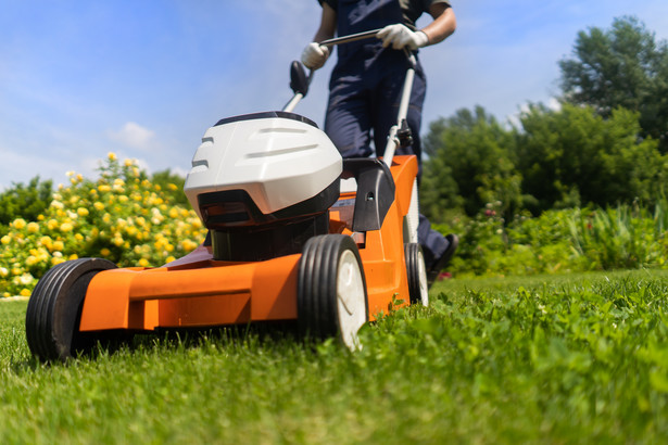 Jak prawidłowo kosić trawnik podczas letnich upałów?