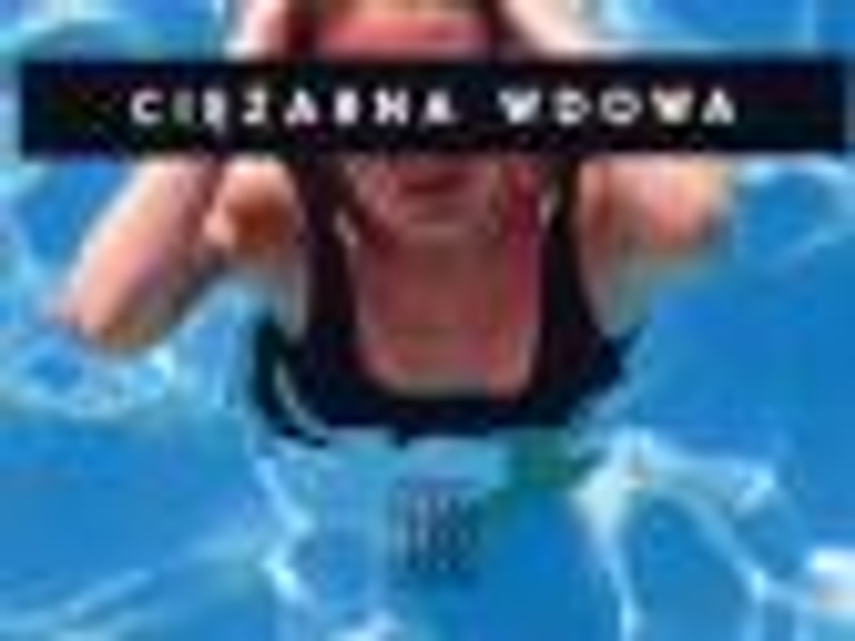 Martin Amis "Ciężarna wdowa"