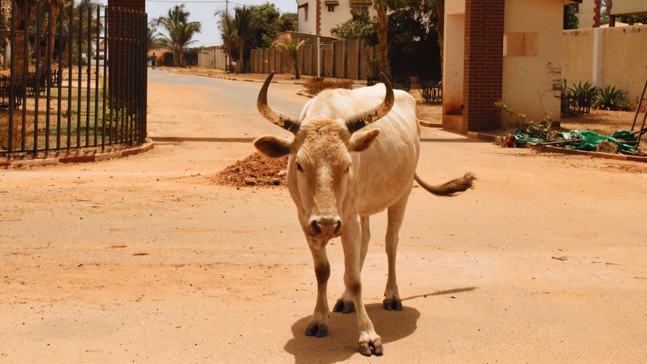 Gambia