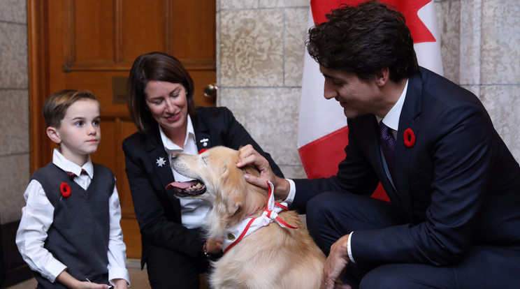 Trudeau (jobbra) és másik kutyája, Spinee. A labradort nemrég műteni kellett/Fotó:Twitter