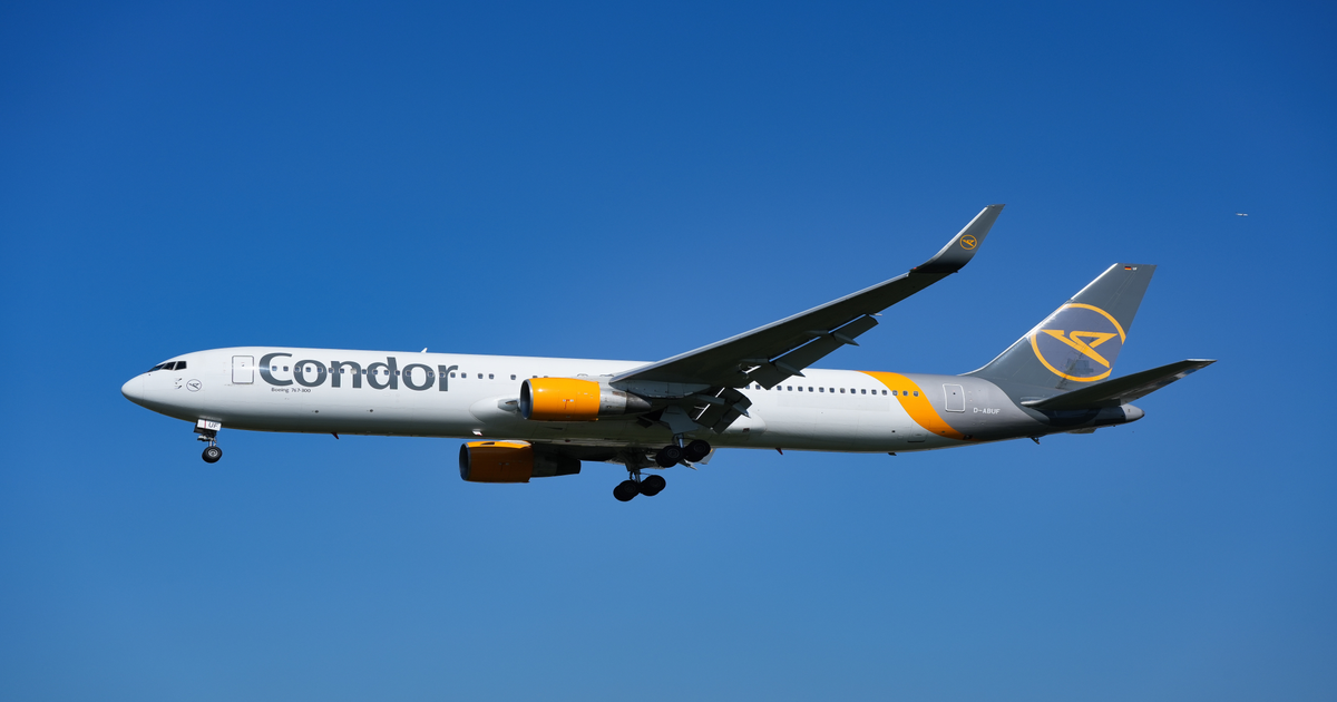 www.aerotelegraph.com