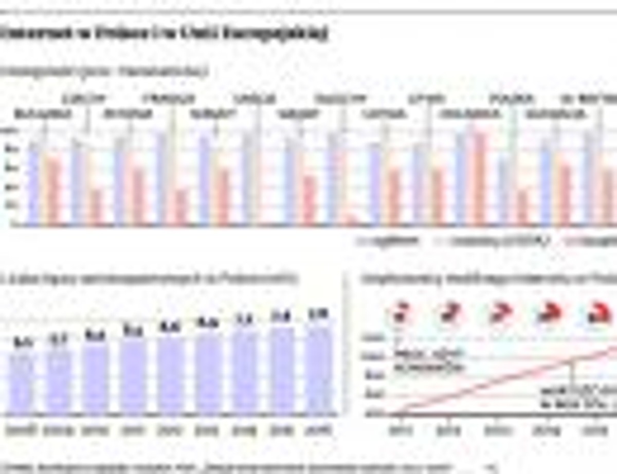 Internet w Polsce i w Unii Europejskiej
