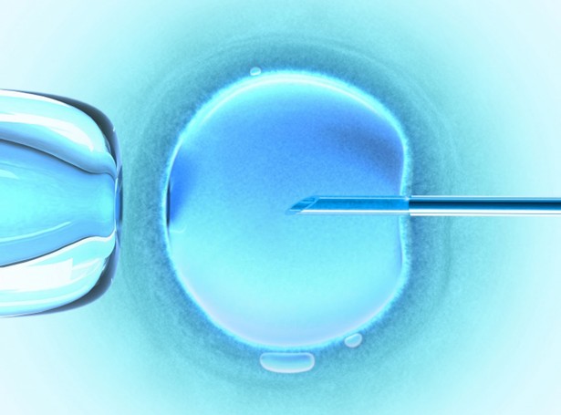 Gowin grozi, że poprze zakaz in vitro