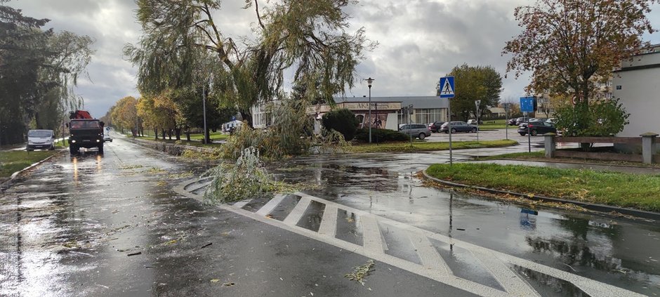 Zerwane linie energetyczne, uszkodzone pojazdy i powolne drzewa. Nad regionem przechodzi wichura