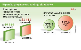 Dożywotnie ściganie za długi w składkach? Dopuszczalne