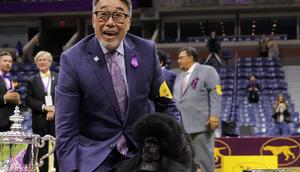 Dog handler Kaz Hosaka and Sage, Best in Show winner pose during the 148th Annual Westminster Kennel Club dog show on May 14, 2024.Michael Loccisano/Getty Images for Westminster Kennel Club
