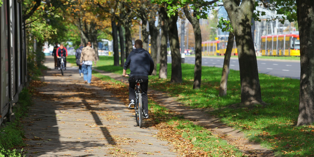 Rowerzyści apelują do dyrektora Zarządu Dróg Miejskich - Chcemy więcej ścieżek rowerowych