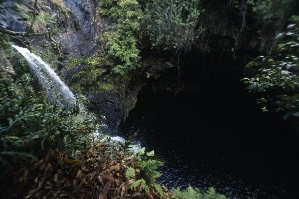 Galeria USA - Hawaje, Maui i Hawaii, obrazek 19