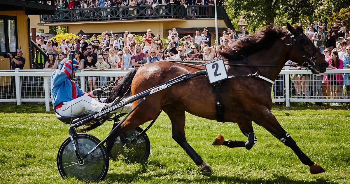 Majówka na Partynicach. Wyścigi, koncert jazzowy i rodzinne atrakcje