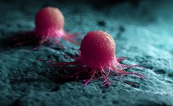 Nowa metoda rozpoznawania nowotworów. Wystarczy polizać