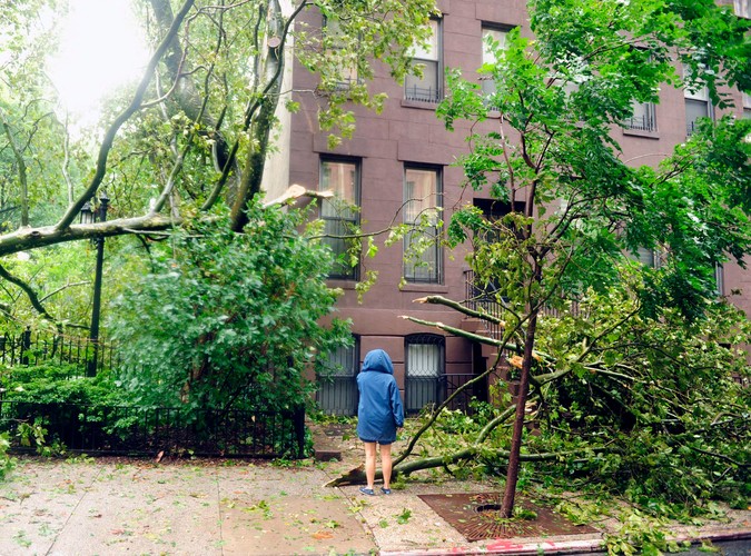 Powalone drzewa w Nowym Jorku