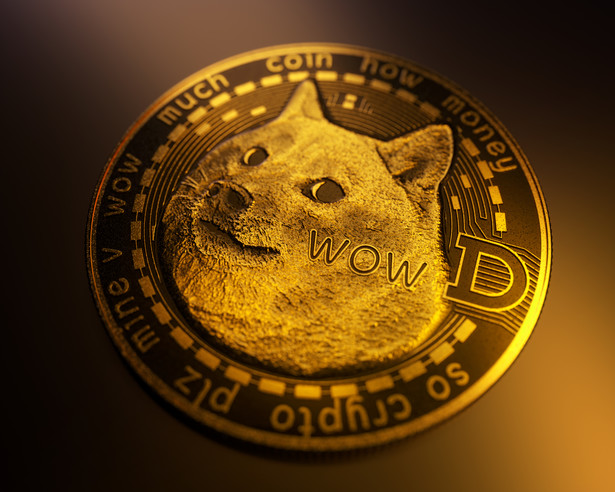 Doge Cryptocurrency Dogecoin