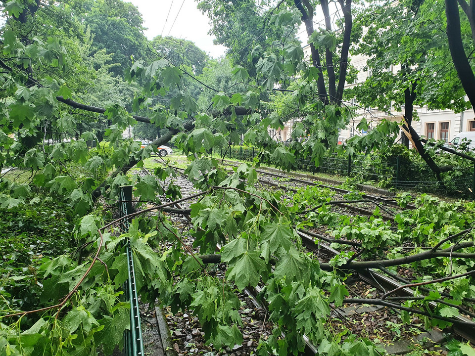 Kraków po ulewie. Ulica Dietla