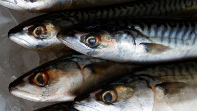 Popularna ryba może wkrótce zniknąć z jadłospisu - co się dzieje?
